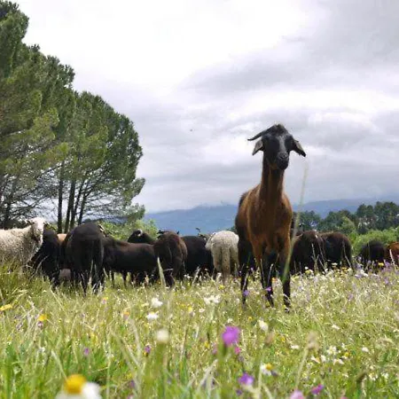 Santa Clara Frühstückspension