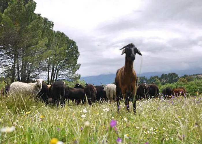 Santa Clara ベッド・アンド・ブレックファスト